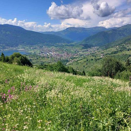 Viewpoint Kofiljaca Bed & Breakfast Плав Екстериор снимка